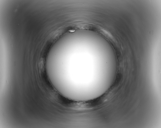 X0000086910121200704301045