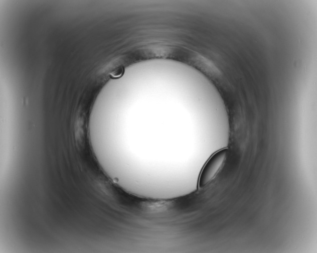 X0000086910122200704301045