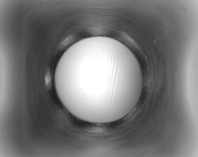 X0000086910124200704301045