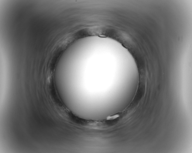 X0000086910125200704301045