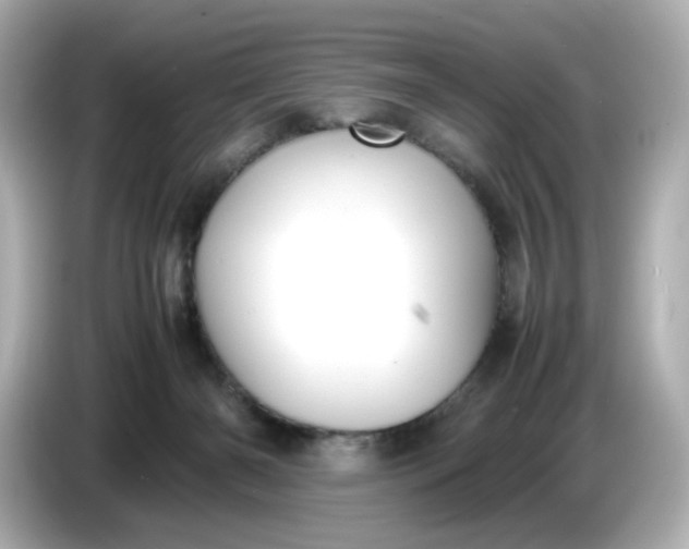 X0000086910126200704301045