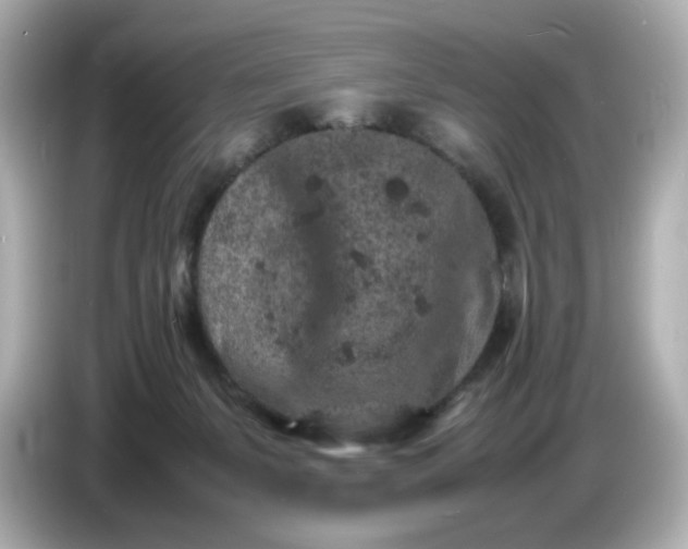 X0000086910127200704301045