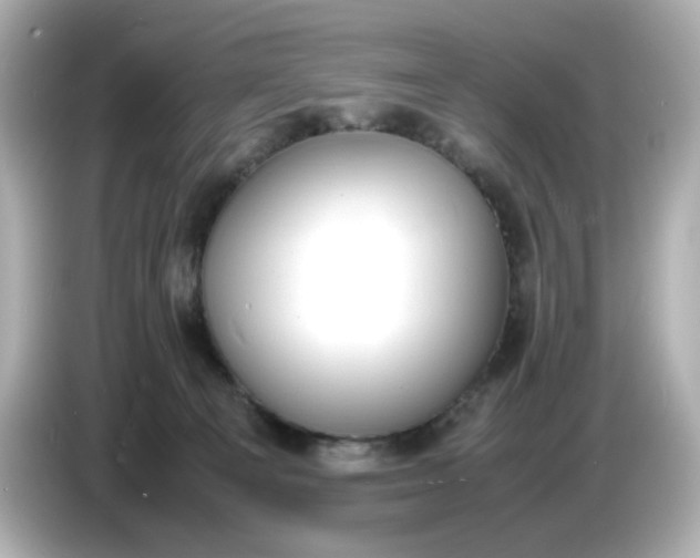 X0000086910129200704301045