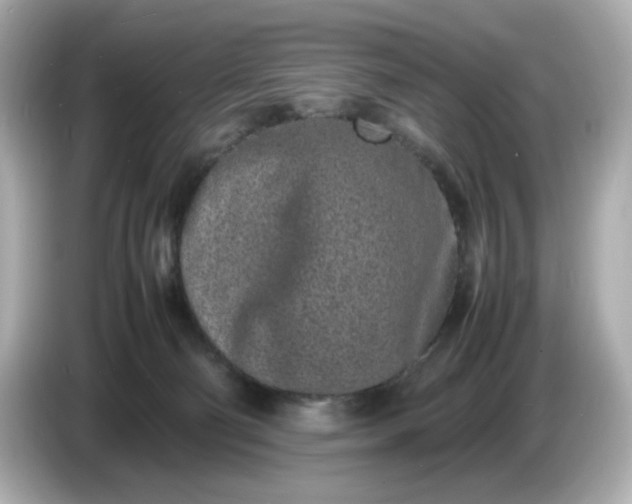 X0000086910130200704301045