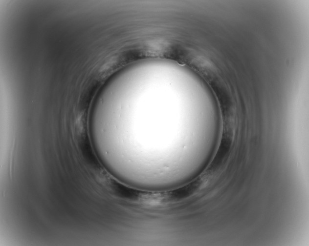 X0000086910131200704301045