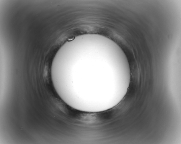 X0000086910132200704301045