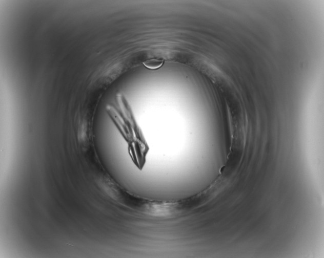 X0000086910134200704301045