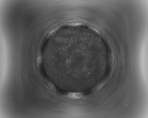 X0000086910137200704301045