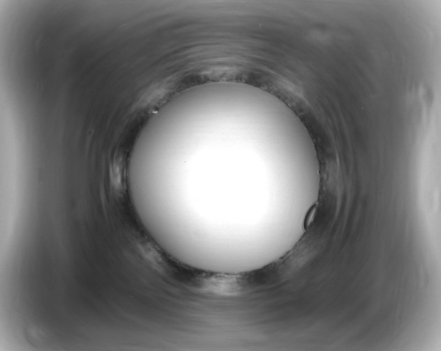 X0000086910138200704301045