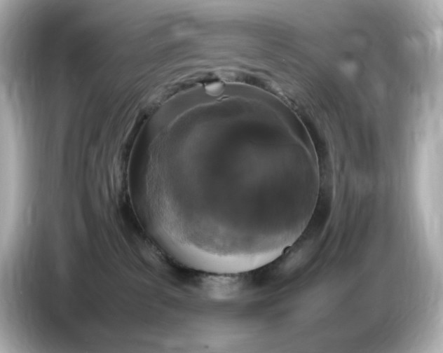 X0000086910139200704301045