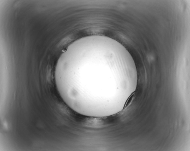 X0000086910140200704301045