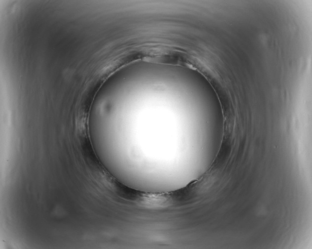 X0000086910141200704301044