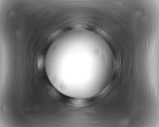 X0000086910142200704301044