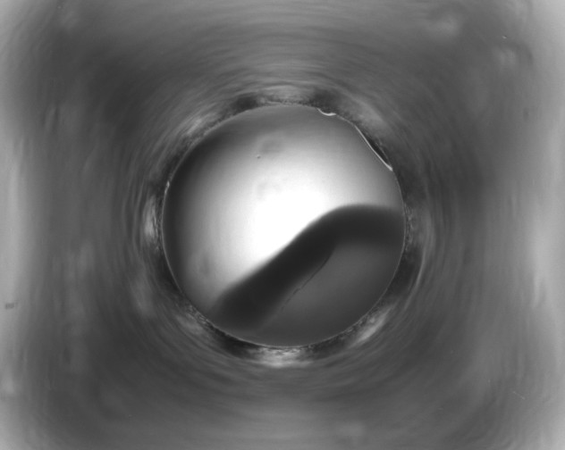 X0000086910143200704301044