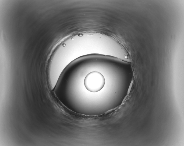 X0000086910146200704301044