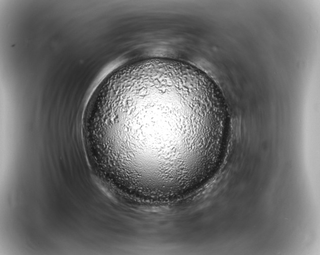 X0000086910147200704301044