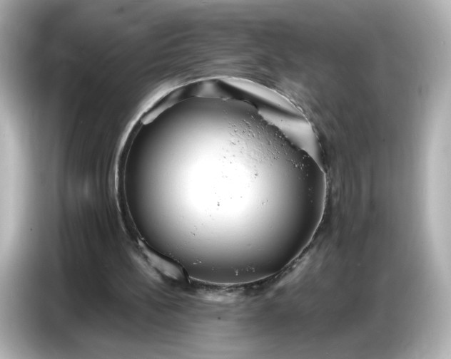 X0000086910148200704301044