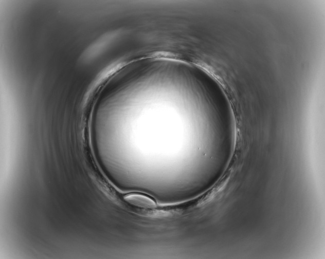 X0000086910149200704301044