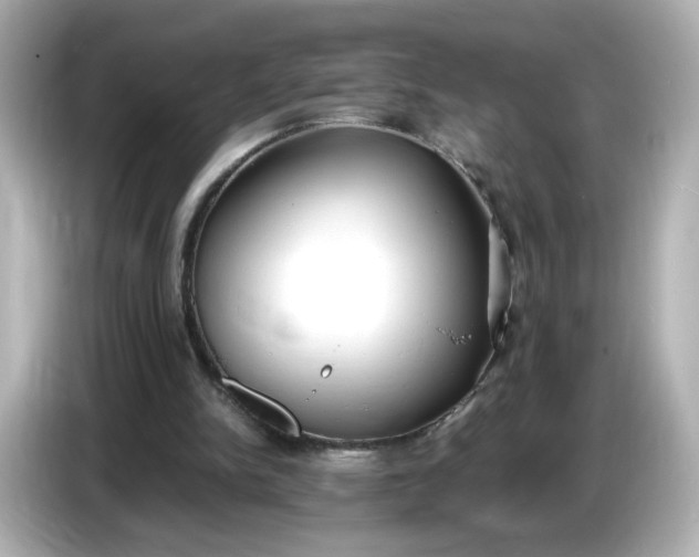 X0000086910150200704301044