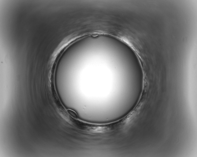 X0000086910151200704301044