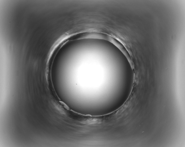 X0000086910152200704301044