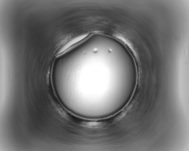 X0000086910153200704301044