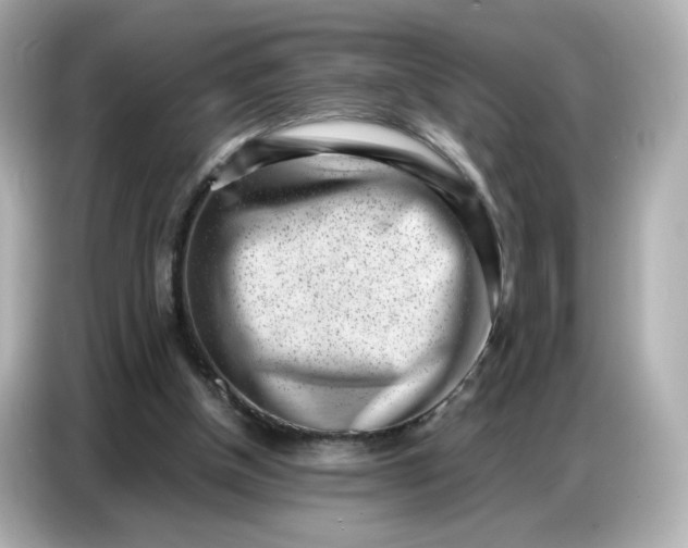 X0000086910154200704301044