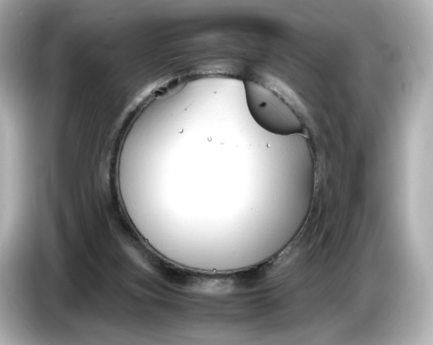 X0000086910155200704301044