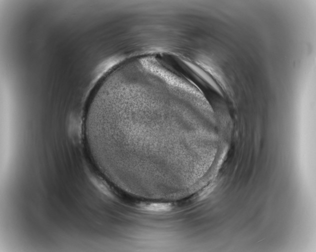 X0000086910156200704301044