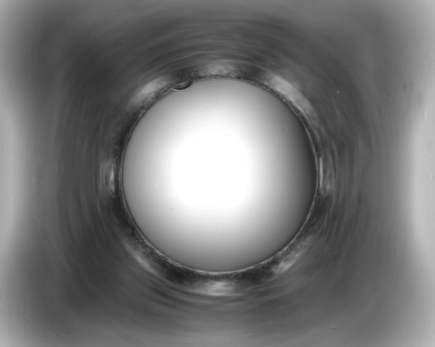 X0000086910157200704301044