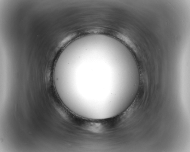 X0000086910159200704301044