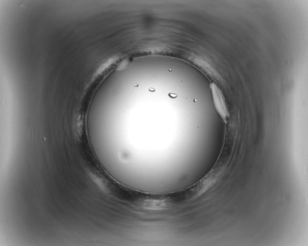 X0000086910160200704301044