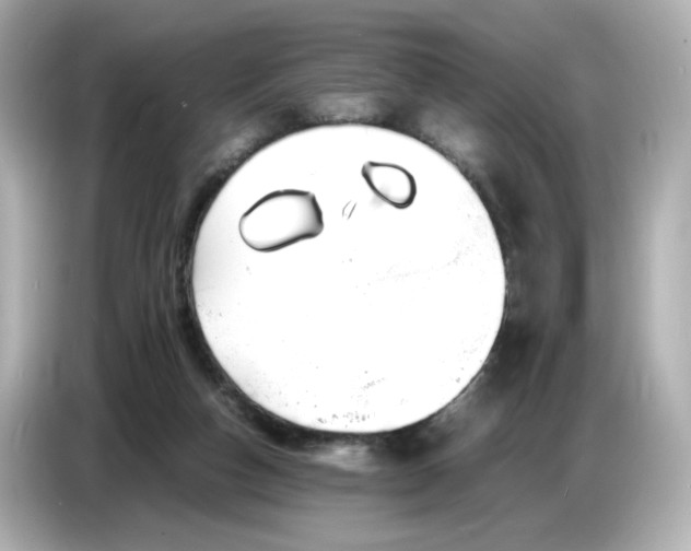 X0000086910162200704301044