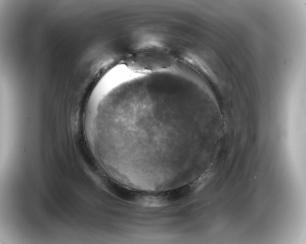 X0000086910163200704301044