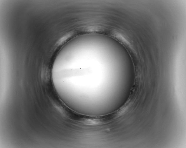 X0000086910164200704301044