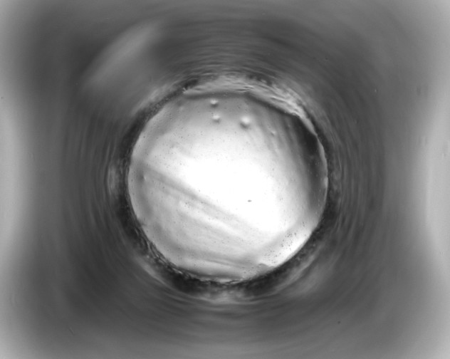 X0000086910165200704301044