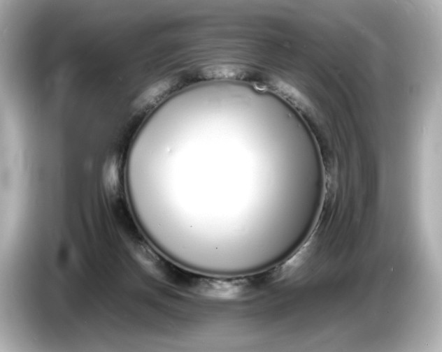 X0000086910166200704301044