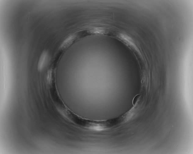 X0000086910167200704301044