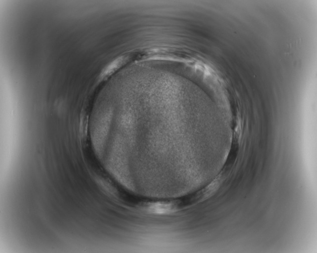 X0000086910168200704301044