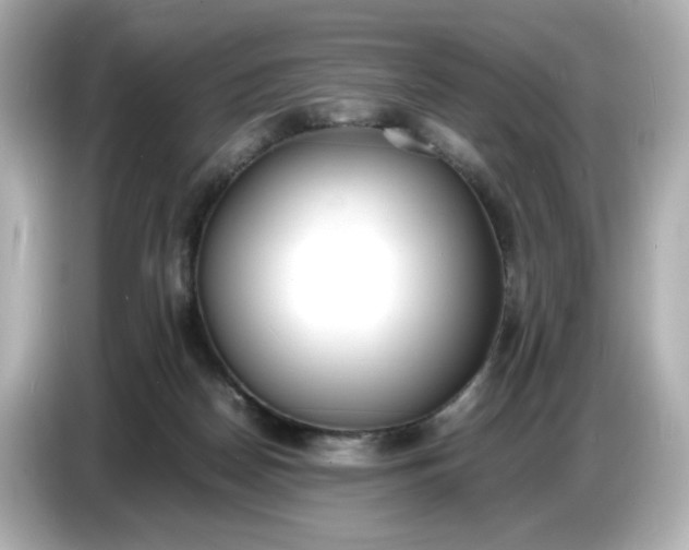 X0000086910170200704301044