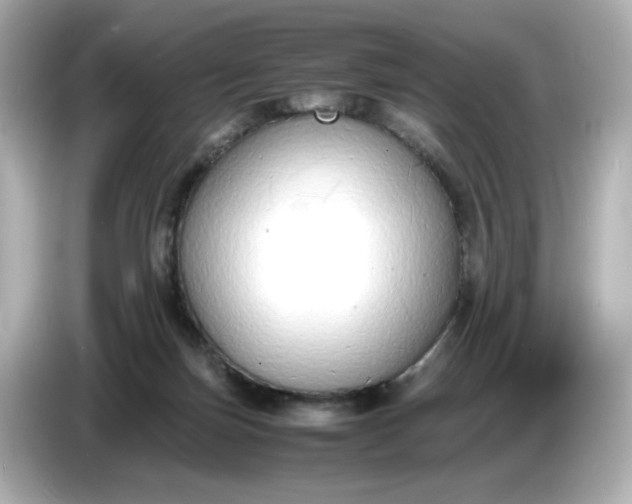 X0000086910171200704301044