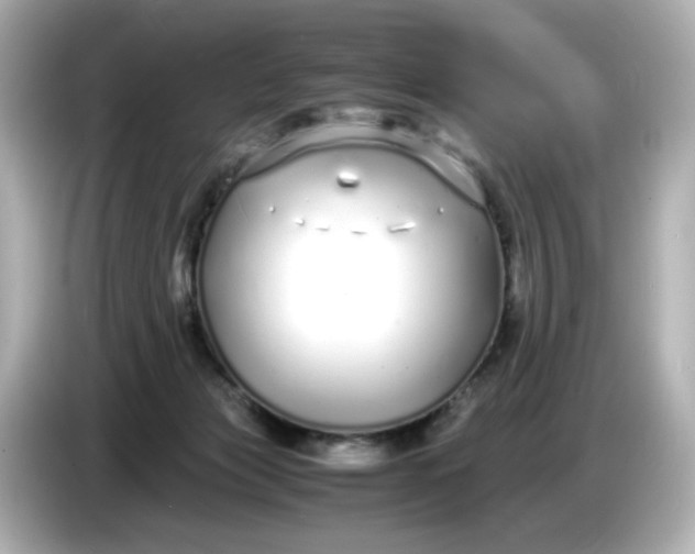 X0000086910173200704301044