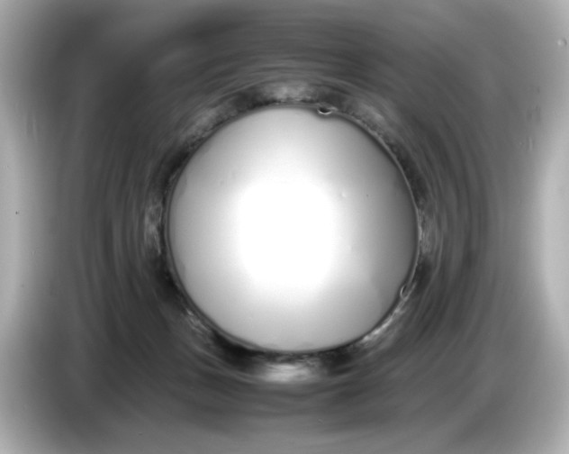 X0000086910175200704301044