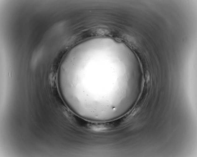 X0000086910177200704301044