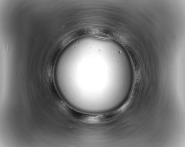 X0000086910178200704301044