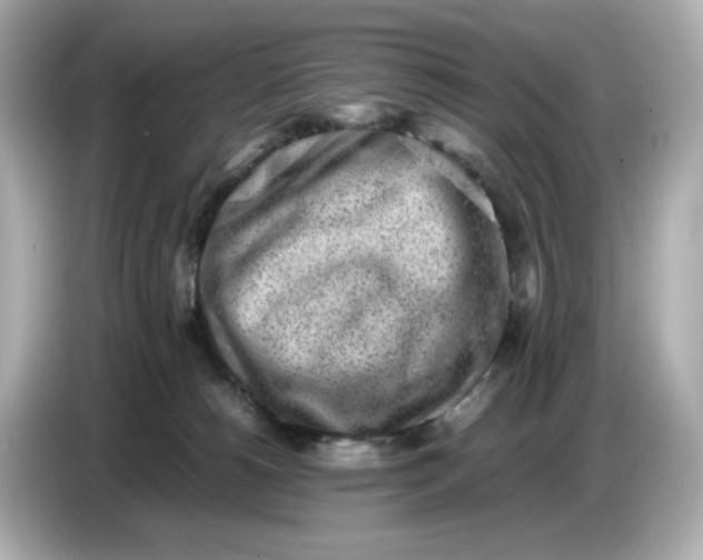 X0000086910180200704301044