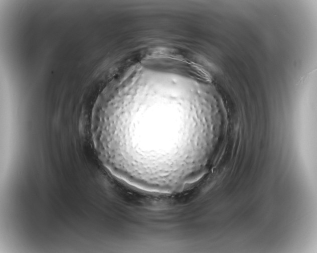 X0000086910181200704301044