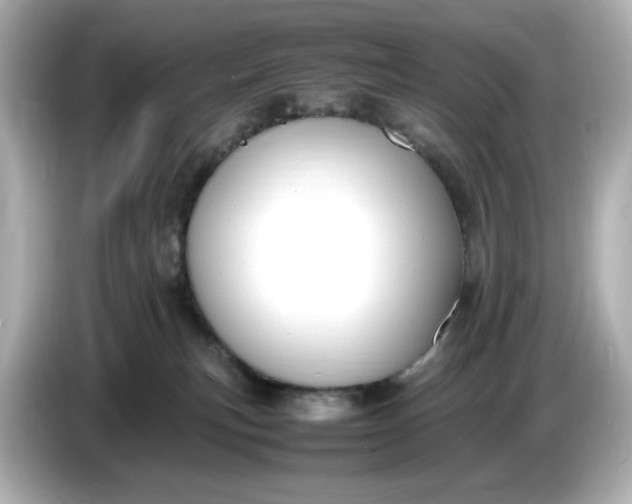 X0000086910183200704301044