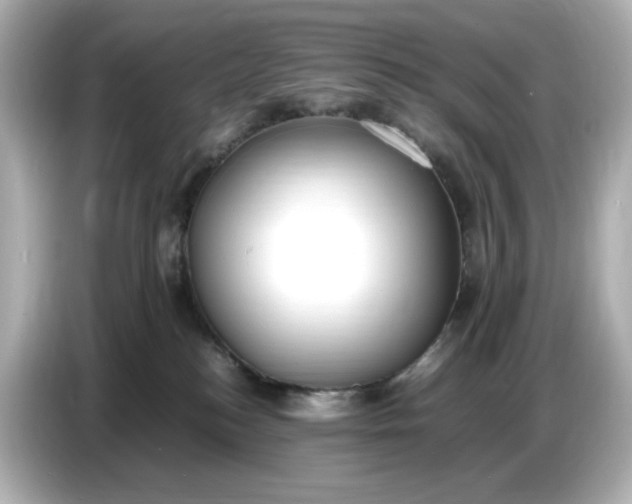 X0000086910184200704301044