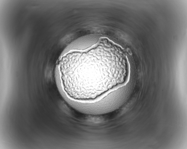 X0000086910185200704301044